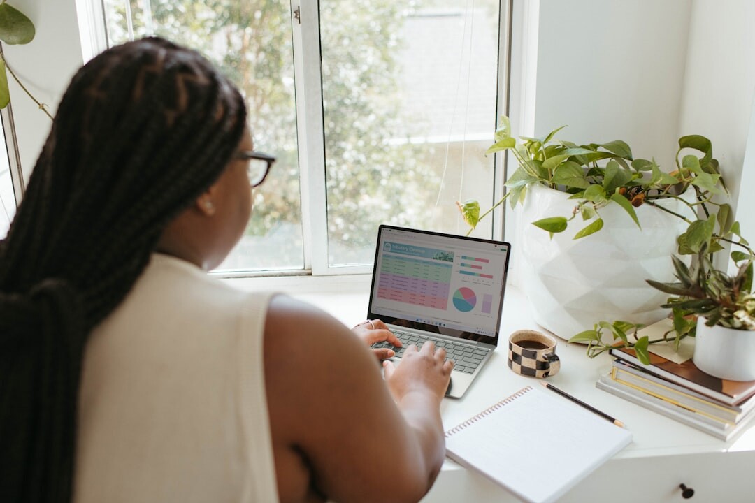 person reviewing budget on laptop