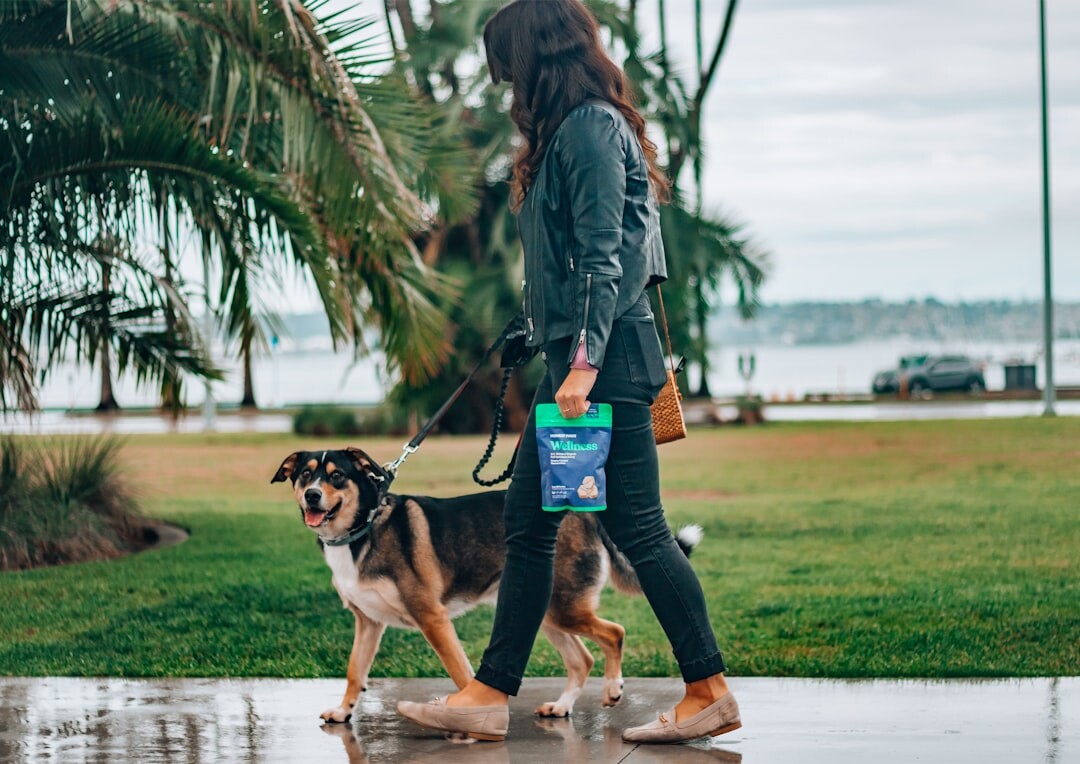 person walking dog in park